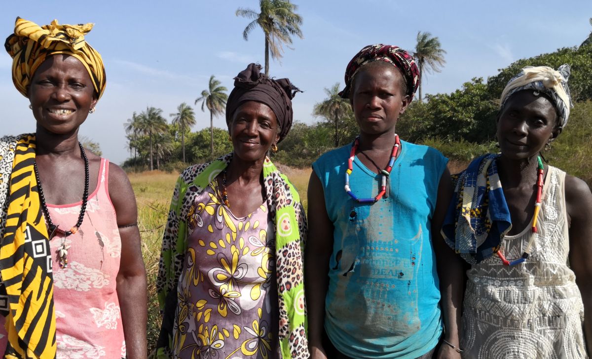 Reisbäuerinnen in der Casamance - sie kämpfen mit versalzenen Böden und zu spät einsetzenden Regenfällen. Aber es gibt eine Lösung...